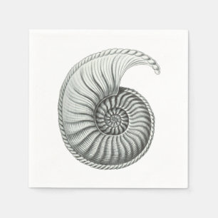 Serviettes Jetables Ammonite