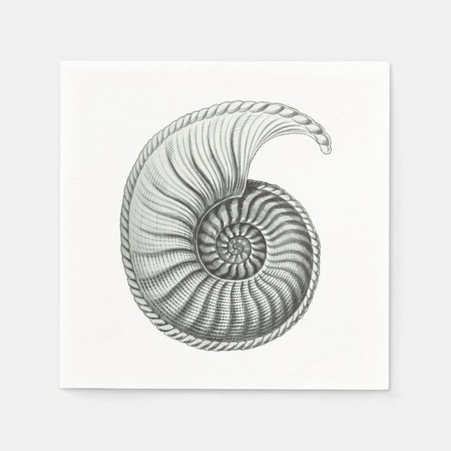 Serviettes Jetables Ammonite (Devant)