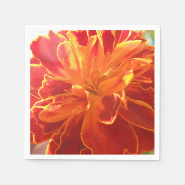 Serviettes Jetables Anastaise (Devant)