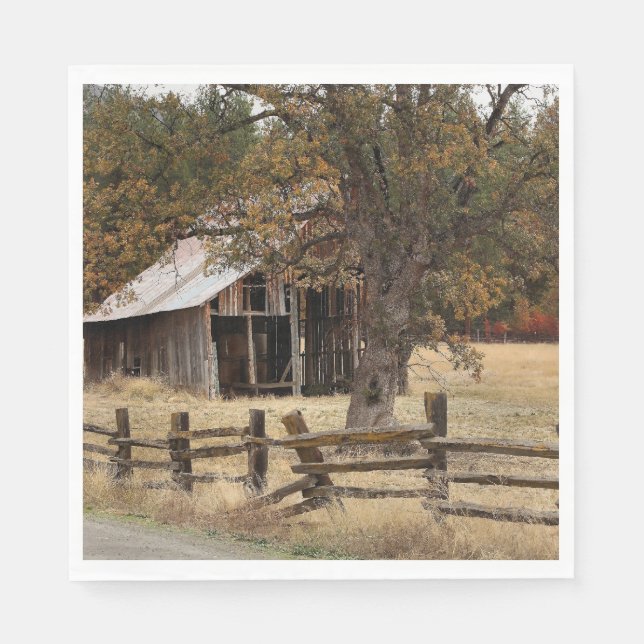 SERVIETTES JETABLES ANCIENNE GAILLE (Devant)