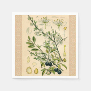 Serviettes Jetables Antique Blackthorn Botanique Imprimé Fleur Berry