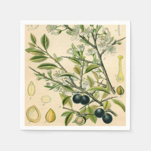 Serviettes Jetables Antique Blackthorn Botanique Imprimé Fleur Berry