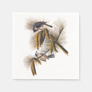 Serviettes Jetables Audubon Crested Titmouse Cocktail Napkins
