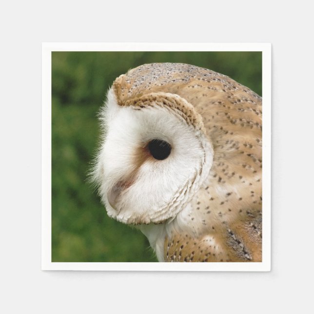 SERVIETTES JETABLES BARN OWL (Devant)