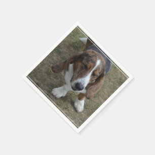 Serviettes Jetables Basset Hound doux