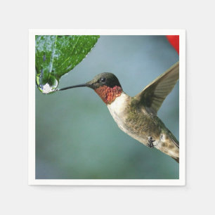 Serviettes Jetables Beau paysage de nature de colibri