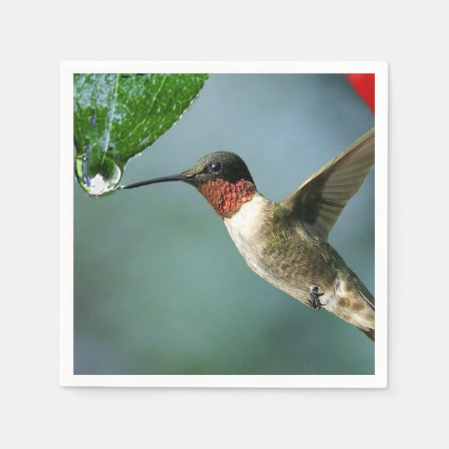 Serviettes Jetables Beau Paysage Naturel Colibri (Devant)