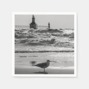 Serviettes Jetables Beauté Et Niveaux De Gris Force