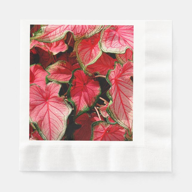 SERVIETTES JETABLES BEAUX PLANTES DE CALADIUM ROSE CLAIR (Devant)