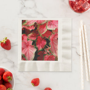 SERVIETTES JETABLES BELLES PLANTES DE CALADIUM ROSE CLAIR