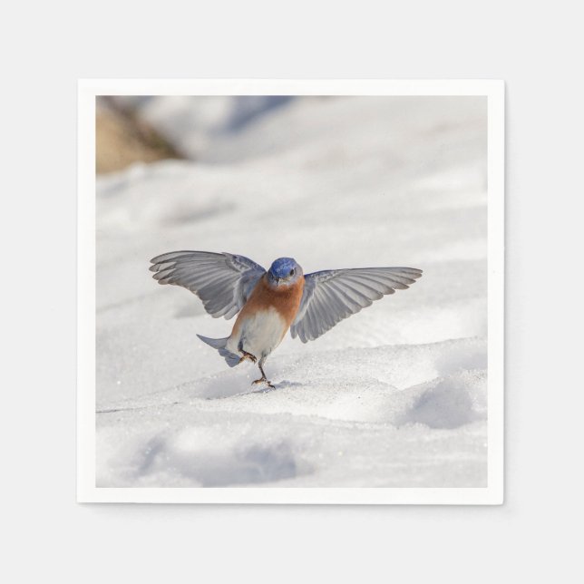 Serviettes Jetables Bluebird oriental dansant dans la neige (Devant)