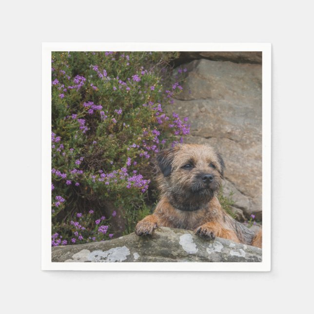 Serviettes Jetables Bordure Papier Terrier Naples (Devant)