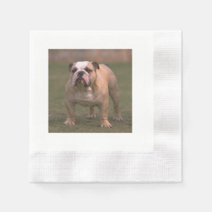 Serviettes Jetables bouledogue plein 2.png