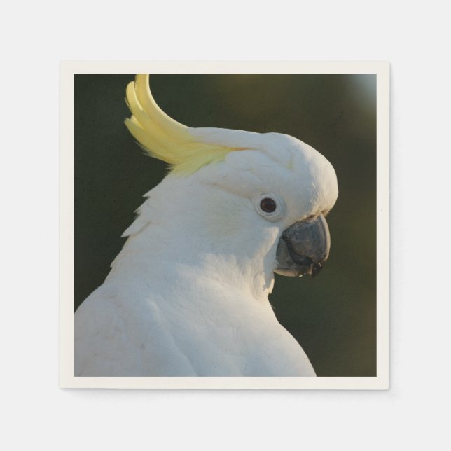 Serviettes Jetables Cacao en papier (Devant)