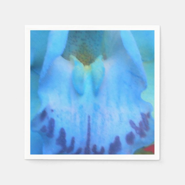 Serviettes Jetables Catelijne (Devant)