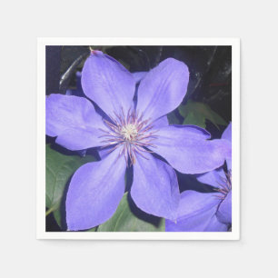 Serviettes Jetables Césarine