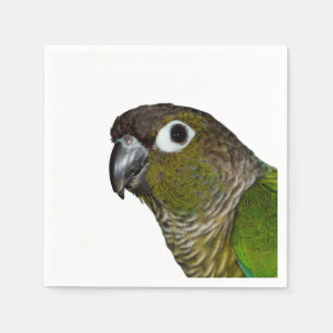 Serviettes Jetables Cheeked vert Conure