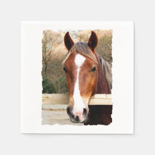 SERVIETTES JETABLES CHEVAUX