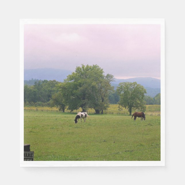 Serviettes Jetables Chevaux sauvages de Cades Cove (Devant)