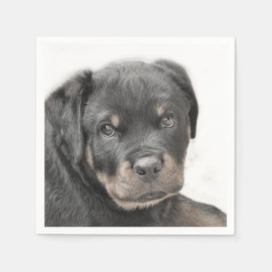 Serviettes Jetables Chien de Rottweeter