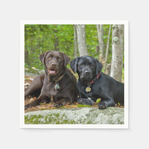 Serviettes Jetables Chiens Chiens Marionnettes Black Lab Chocolat Labr