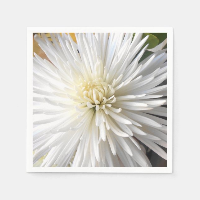 Serviettes Jetables Claricia (Devant)