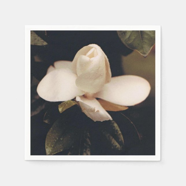 Serviettes Jetables Cocktail serviettes avec un design Magnolia Blosso (Devant)