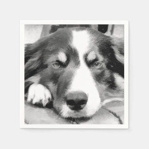 SERVIETTES JETABLES COLLIE FRONTALIÈRE