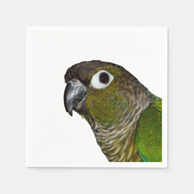 Serviettes Jetables Conure verte à mâcher (Devant)
