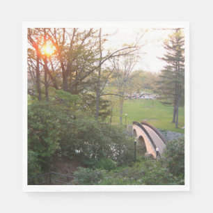 Serviettes Jetables Coucher de soleil sur Rainbow Bridge à Grove City