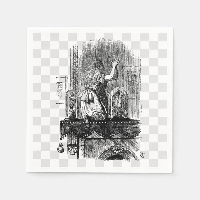 Serviettes Jetables Dans le miroir (Devant)