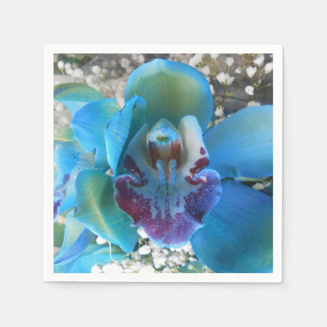 Serviettes Jetables Donella (Devant)