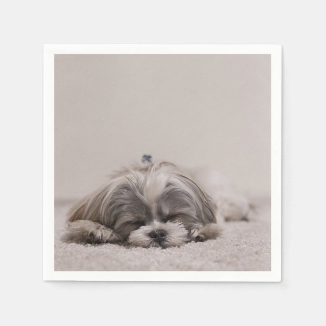 Serviettes Jetables Dormir Shih tzu Cocktail serviettes, chien couchan (Devant)