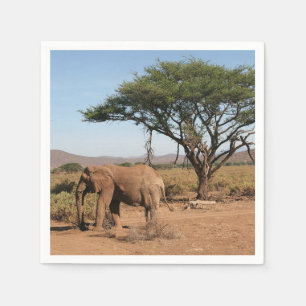 Serviettes Jetables Elephant à la réserve nationale de Samburu