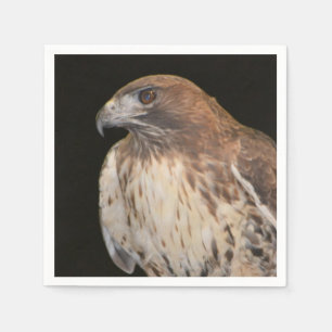 Serviettes Jetables Esprit Du Faucon