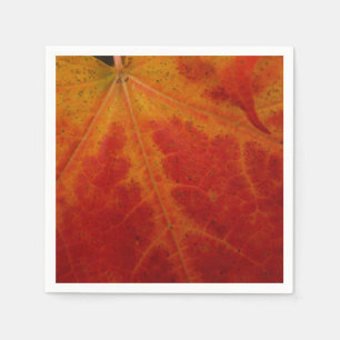 Serviettes Jetables Feuille d'érable rouge Abstraite Automne Photograp