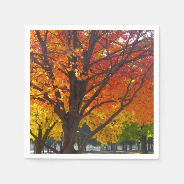 Serviettes Jetables Feuilles d'automne de la photo jaune et orange (Devant)