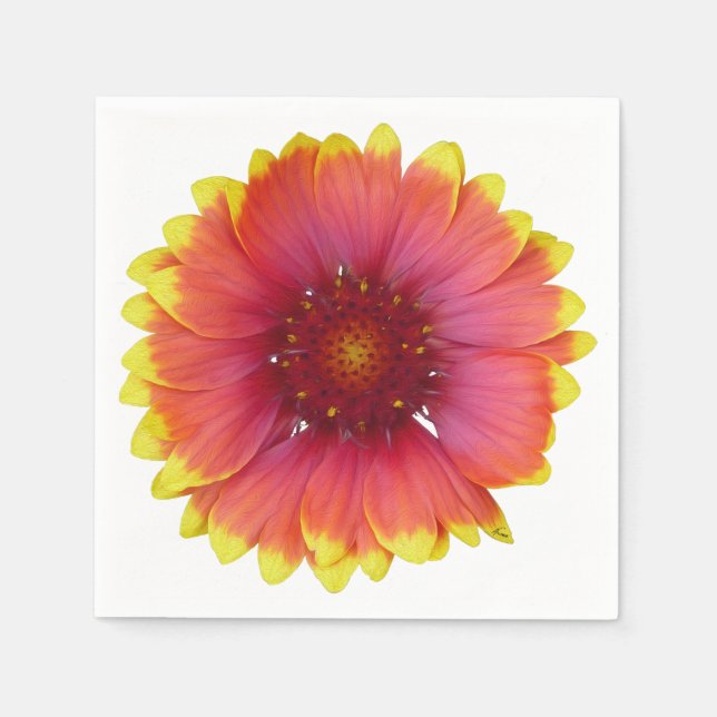 Serviettes Jetables Gaillardia 1 (Devant)