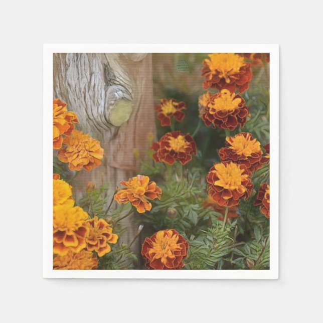 Serviettes Jetables Glorieux Marigolds (Devant)