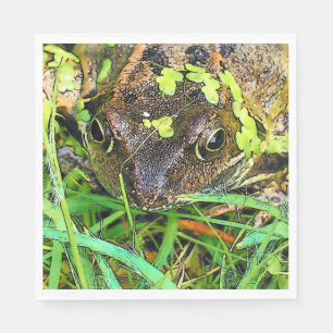 SERVIETTES JETABLES GRENOUILLE