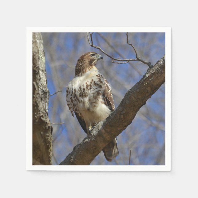 Serviettes Jetables Hawk Majestic (Devant)