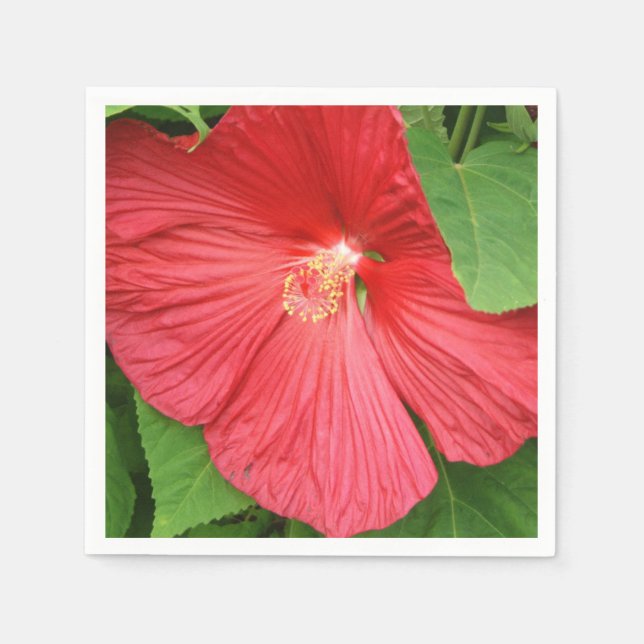 Serviettes Jetables Hibiscus Flower Bright Magenta (Devant)