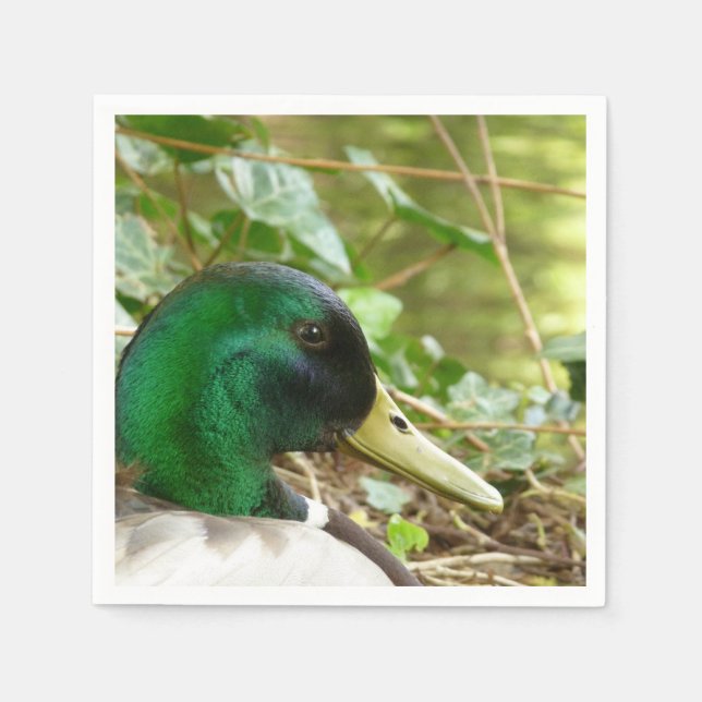 Serviettes Jetables Homme Mallard Duck Napkin (Devant)