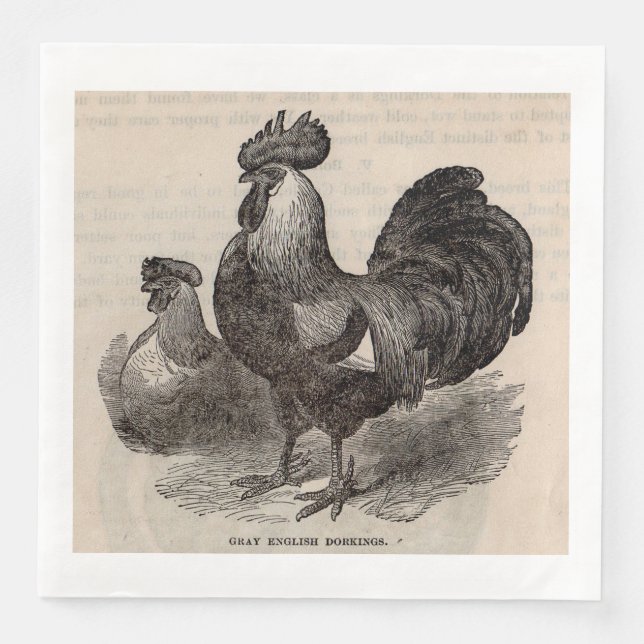 Serviettes Jetables imprimé du 19e siècle gris anglais dorkings poulet (Devant)