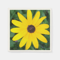 Jolie Black Eyed Susan