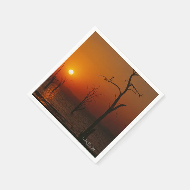 Serviettes Jetables Le lac Kariba (Coin)