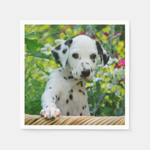 Serviettes Jetables Le noir mignon a repéré la photo dalmatienne de