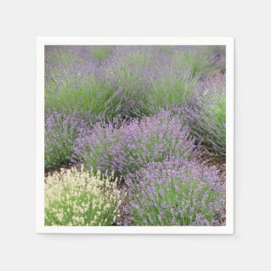Serviettes Jetables Lovely Lavender
