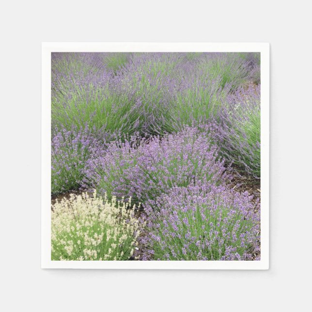 Serviettes Jetables Lovely Lavender (Devant)