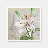 Lys de fleur de macro